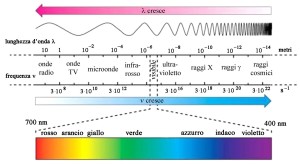 CLOROFILLA | La molecola vegetale che ossigena il sangue.