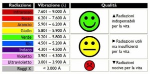 ANIMA, anche la scienza dice che esisti!